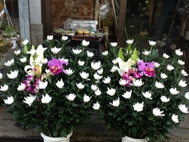 埼玉県川越市の花屋 大塚花店にフラワーギフトはお任せください 当店は 安心と信頼の花キューピット加盟店です 花キューピットタウン